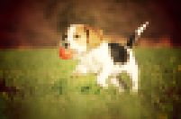 pixelate + red_rock filter effects